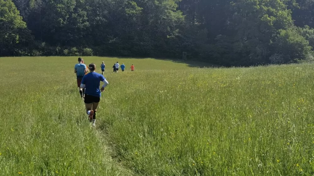 Läufer laufen einen Trailpfad über die Wiese